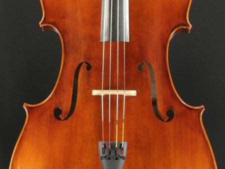 Snow SC400 4 4 Cello Online