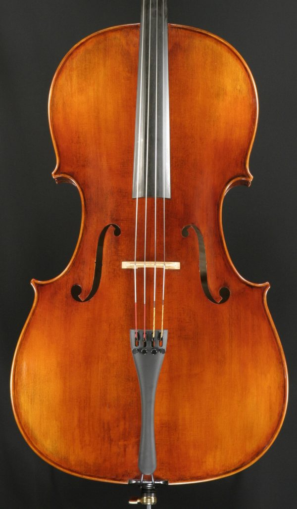 Snow SC400 4 4 Cello Online