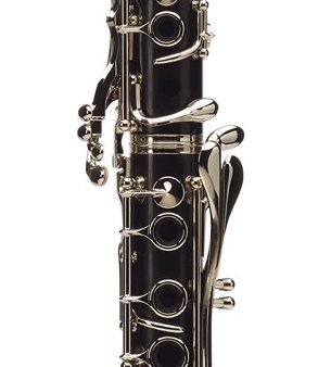 Buffet R13 Professional Bb Clarinet For Discount