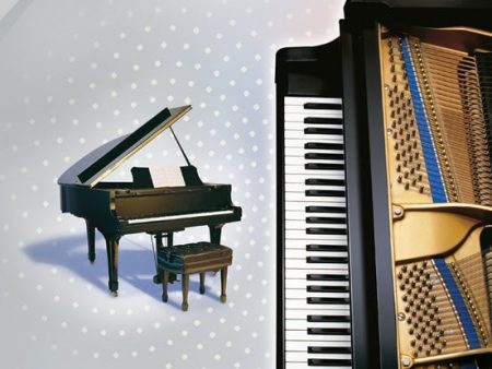 Alfred s Premier Piano Course - Level 6 Supply