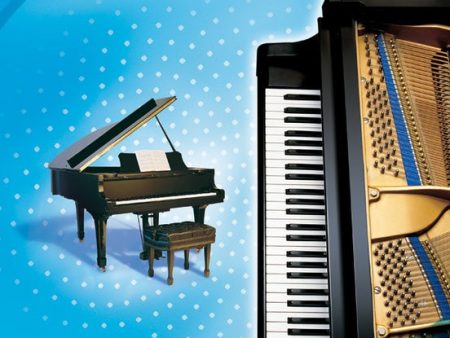 Alfred s Premier Piano Course - Level 2A For Sale