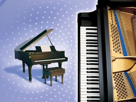 Alfred s Premier Piano Course - Level 3 For Discount